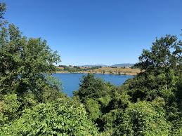 L'allarme è scattato dopo alcune segnalazioni. Lago Di Mezzano Picture Of Lago Di Mezzano Valentano Tripadvisor
