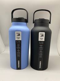 Corkcicle Tumbler 16Oz Clear Lid Incl. In Springtime Plaid - New+Bonus  Stickers | Ebay