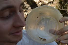 Who We Are — Amphibian Growth Project