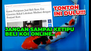 Jual beli ikan koi langsung dari petani dan supplier seluruh indonesia. Tips Membeli Ikan Koi Online Jangan Sampai Kena Tipu Youtube