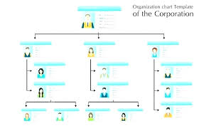 10 Company Hierarchy Billy Star Ponturtle