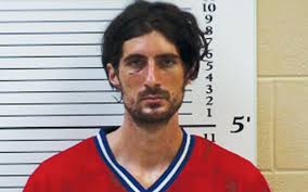 Police nab unwelcome housesitter