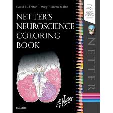 Even attempts to gently unbox these markers results in a disruption the crayolas feel cheaper than they did when i was a teen, but $7 for 50 markers doesn't exactly bode well for professional art quality. Netter S Neuroscience Coloring Book Paperback Walmart Com Coloring Book Download Neuroscience Anatomy Coloring Book