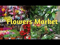 Get contact details & address of companies engaged in wholesale trade, manufacturing and supplying artificial flowers, fake flower, imitation flower across india. Artificial Best Flowers Market In Mumbai Cst Youtube