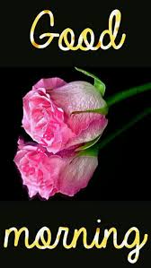 Good Morning S Lavanya Good Morning Images Flowers Good Night I Love You Good Morning Images
