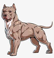 The american pit bull terrier (apbt) is a dog breed recognized by the united kennel club (ukc) and the american dog breeders association (adba), but not the american kennel club (akc). Pitbull Clipart American Pitbull Terrier Pitbull Transparent Transparent Png 2880x2348 Free Download On Nicepng