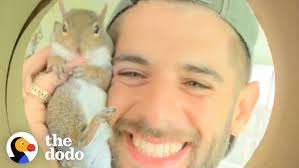 Tiny Squirrel Who Nearly Drowned Is Nursed Back To Life By Pool Guy