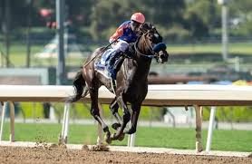 Lucky for you, there are ways to watch the kentucky derby online for free, so you don't miss the most exciting two minutes in sports! Kentucky Derby 2021 How Do The Speed Figures Stack Up