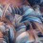Profile Picture of Fall Feathers - Intuition Backgrounds (@intuitionbackgrounds.com) on Google