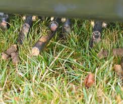 Maybe you would like to learn more about one of these? Create A Stronger Turf With Aeration Trugreen Midsouth