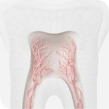 Just place the item of clothing. What Causes Of Sensitive Teeth Sensodyne
