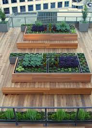 Masculine Urban Gardens Port Quarter Rooftop Garden Urban Garden Roof Garden