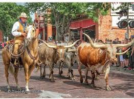 Maybe you would like to learn more about one of these? Fort Worth Uct 2021