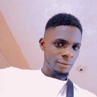 100+ "Ibrahimovic" profiles