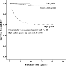 They contain three cellular elements in varying proportions: Histologic Grade As Prognostic Indicator For Mucoepidermoid Carcinoma A Population Level Analysis Of 2400 Patients Chen 2014 Head Amp Neck Wiley Online Library