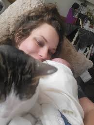 Kitty without a tail needs a forever home