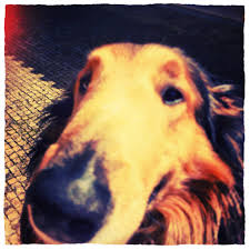 Online bibliography of joão macedo. Untitled Joao Macedo Flickr