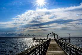 If you haven't heard of the emerald ash borer beetle, it is responsible for killing hundreds of ash trees in the park over the last 5 years. Va Leesylvania State Park 5199 Park Rx America