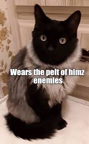You can find every meme collection based on your feelings. Lolcats Fur Lol At Funny Cat Memes Funny Cat Pictures With Words On Them Lol Cat Memes Funny Cats Funny Cat Pictures With Words On