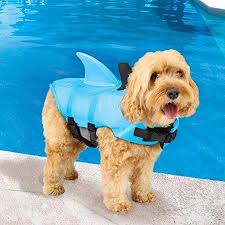 The following dog life vest has a construction with a grab handle for easy rescue & restraint. A Helpful Guide For Choosing Your Pet S Best Bulldog Life Jackets Bulldogology