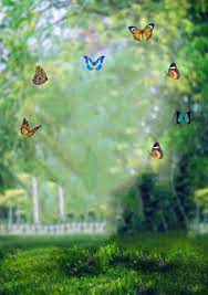 A hd background can be hd manipulation images , 4k backgrounds for photoshop, hd manipulation images,hd background for picsart. New Full Hd Nature Cb Background Butterfly Download