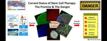 Maybe you would like to learn more about one of these? Current Status Of Stem Cell Therapy The Promise The Danger Ukm Medical Molecular Biology Institute