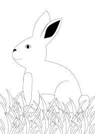 Ausmalbild Hase Feldhase Kostenlose Malvorlagen Intended