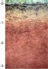 The Red Clay Included In Our Earth Essence Shampoo Helps To Cleanse Tone Nourish Heal Soothe And Smooth Skin Of All Types Especially Th Loam Soil Alabama