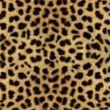 If you are to buy cheetah party supplies from an online store, you probably would be pleased because. Cheetah Party Birthday Party Ideas For Kids
