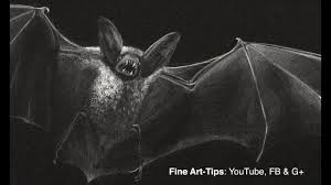 How To Draw A Vampire Bat Prepare For Halloween Youtube 1) draw a rectangle that will define the conditional proportions and boundaries of the chosen drawing. how to draw a vampire bat prepare for halloween