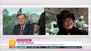 Paris managed to strike her trademark pose in the square, too. Piers Morgan Accosted By Pigeons After He Was Compared To Home Alone 2 S Pigeon Lady As Good Morning Britain Is Thrown Into Chaos