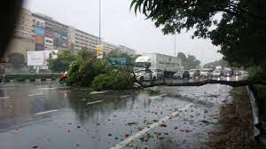 Moving hacks to make your moving may easier. Heavy Rain Strong Wind Bring Down Trees In Penang