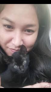 neighborhood watch sparks controversy among cat lovers