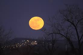 Ne loupez aucune pleine lune ! La Pleine Lune Influence T Elle Les Troubles De Comportement La Presse