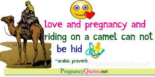 If i ever encounter them again i will be sure to hunt down a product or method that takes care of them. Quotes About Camels 96 Quotes