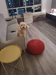 The Best Way To Make You And Your Four Legged Friend S Lives Easier Is To Switch To A Pet Friendly Pet Friendly Flooring Resilient Flooring Good Environment