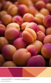Colour Love 57 Jpg 600 974 Pixels Recettes Aux Fruits Fruits Et Legumes Fruits Frais
