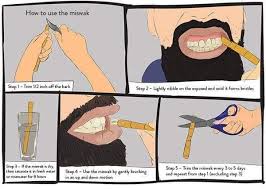 Bahkan sugi yang tumbuh di yakushima sangat dilindungi dan hanya boleh pengovenan kayu hanyalah salah satu cara yang bisa dilakukan untuk mengeringkan kayu. Soalan Sebatang Kayu Maria Sunnihijab Collection Msh Facebook