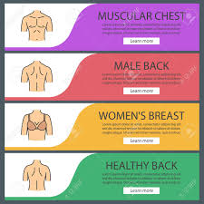 The anatomical names and corresponding common names are indicated for specific body regions. Human Body Parts Web Banner Templates Set Man S Muscular Chest Royalty Free Cliparts Vectors And Stock Illustration Image 88720794