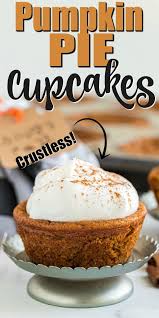 Impossible Pumpkin Pie Cupcakes Pumpkin Pie Cupcakes Mini Pumpkin Pies Best Pumpkin Pie Recipe