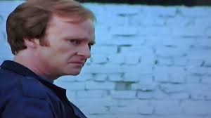 @gavinwillacy's video Tweet