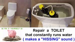 Toilet tanks can be easily insulated with a lining of foam rubber or polystyrene to prevent sweating. Repair A Toilet That Continuously Runs Water Makes A Hissing Sound Youtube
