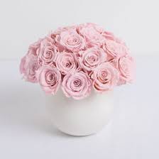 Check spelling or type a new query. Pink Preserved Roses Lasts A Full Year By Ode A La Rose