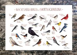 Birds Of North Carolina Book North Carolina Backyard Birds Field Guide Art Print Backyard Birds Birds Of Georgia Bird Poster
