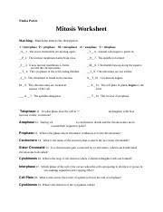 Do keep in mind that you must complete the drawing activities as. 15 In A Chromosome Pair Connected By A Centromere What Is Each Individual Course Hero