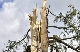 Jul 04, 2021 · operasjonssentralen til politiet i møre og romsdal melder at to personer er bekreftet omkommet etter lynnedslag. Lyn Torden Tid For Torden Ikke Velg Et Tre Nar Du Skal Soke Ly