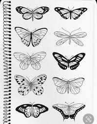 Butterflies Butterfly Sketch Butterfly Drawing Butterfly Line Drawing