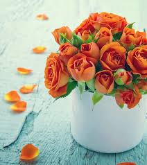 Pasti kebanyakan orang sudah tahu dengan bunga ini. 10 Jenis Bunga Mawar Orange Ini Cocok Sebagai Hadiah Wanita22