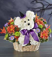 Please realize that same day delivery from our denver florist is subject to availability. Halloween Flowers Arrangements Bouquets Delivery 18f