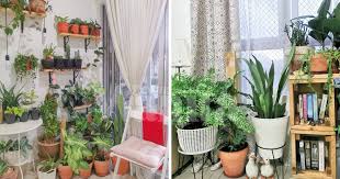 Tips menanam sendiri sayur dan buah di rumah. Berkebun Di Apartment Tip Tanaman Indoor Hidup Lama Senang Jaga Mingguan Wanita
